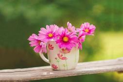 公司开通互联网站